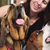 Bloodhound