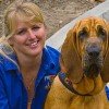 Bloodhound